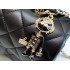 22pCF Mini Handle Lion