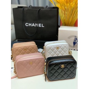 Chanel's New Early Spring Sheepskin Collection Golden Ball Camera Bag