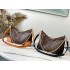 Lv shoulder crossbody bag